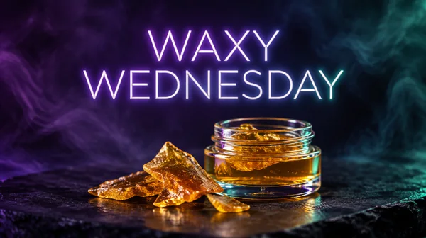 Waxy Wednesday daily deal cover